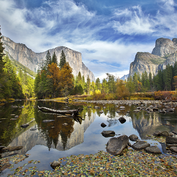 Scatter ashes in a National Park